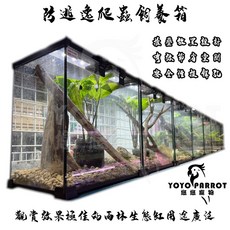 YOYO PARROT 悠悠寵物 防逃逸爬蟲飼養箱 堅固耐用 寬敞空間 水陸兩用生態箱, 黑, 1個