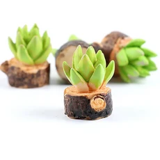 북유럽 인공 식물 인조 다육 화분 나무 배경 도자기 벽걸이 화병 분재 벽걸이 장식 벽걸이 화분, 09