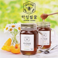 (올데잇)거창북부농협 100%국산 농협 하성벌꿀(캐닝머그잔/잡화), 1개, 500g