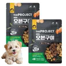 펫러닝 강아지 더프로젝트 오븐구이 수제간식, 닭, 40g, 2개