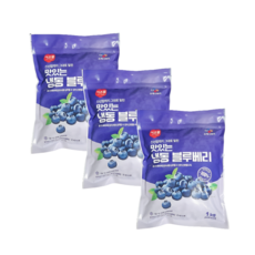 이츠웰 맛있는 냉동 블루베리, 1000g, 4개, 1kg