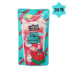 쟈뎅 까페리얼 수박에이드 230ml 30개