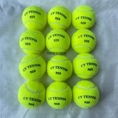 컬러 테니스 공 핑크 연습 세트 연습용 선물, 형광그린 929 트레이닝 12개