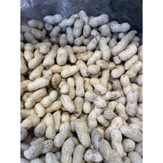 北港特產 鹽炒九號花生, 600g, 1個