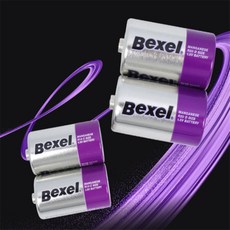 심플리앤 망건전지 2P 일회용건전지, CM(R14)