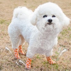 강아지 붕대신발 반려견 발밴드 테이프신발 테이프 접착붕대 양말 미끄럼방지, 1개