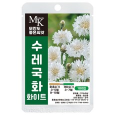 모칸도 좋은씨앗 수레국화 화이트 씨앗 100립 꽃씨 꽃씨앗, 1개