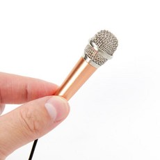 스마트폰 미니 마이크 로즈골드 C타입, 상세설명 참조, 단품없음