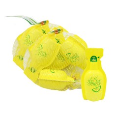 피오디 레몬주스 레몬즙 소용량, 48ml, 2개