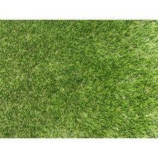 柔絲特密超仿真人工草皮, 秋草, 1個