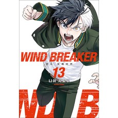 윈드 브레이커 13 권 애니 만화 책, 리디(RIDI)