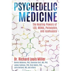사이키델릭 의학 LSD MDMA 실로시빈 아야와스카의 치유력
