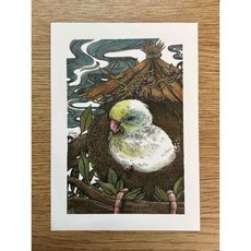 太平洋鸚鵡手繪收藏明信片 鸚鵡小木屋寧子手繪風格 高質感紙張 藝術收藏明信片, 1個