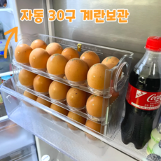 월렉트 계란한판 30구 자동 계란트레이 오토폴딩, 1개, 월렉트 화이트
