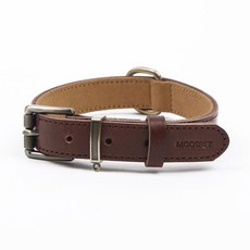 모즈펫 가죽 클레시 목줄 M 폭2.5cm, 브라운, 1개