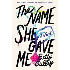 (영문도서) The Name She Gave Me Paperback, Harperteen, English, 9780063157842