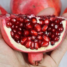 [장보리] 수입 석류 생과 생석류 5kg, 1개, 상세 설명 참조