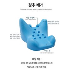 지압 안마 시트 쿠션 목 어깨 경추 발바닥 마사지, 프리사이즈, 1개