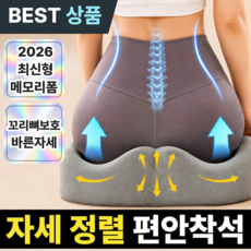 [3세대]푹신하고 장시간 안꺼지는 치질방석, 1개, 차콜 그레이