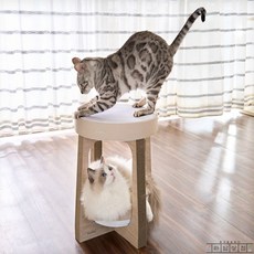 라담상점 고양이스크래쳐의자 캣스크래쳐