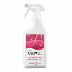 오클린 주방용 세정 스프레이, 750ml, 3개