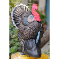 SURPASS Turkey 火雞靶 3D動物箭靶 發泡海綿比賽箭靶, 1個, 母火雞