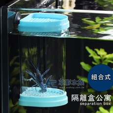 AC草影 組合式隔離盒公寓 魚蝦繁殖隔離盒, 1個