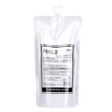 DK 이손 필 매직 스트레이트 매직약 2제 액상 500ml, 1개