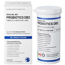 샤랩바이오 강아지 유산균 면역 프로바이오틱스 DB2 영양제 30캡슐, 30회분, 장건강/유산균, 1개 30회분, 장건강/유산균, 1개