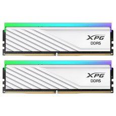 ADATA DDR5-6000 CL30 LANCER BLADE RGB 화이트 패키지 서린 (64GB(32Gx2))