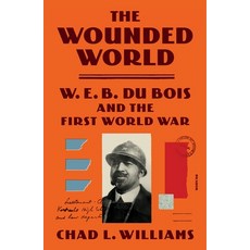 (영문도서) The Wounded World: W. E. B. Du Bois and the First World War Paperback, Picador USA, English, 9781250321916