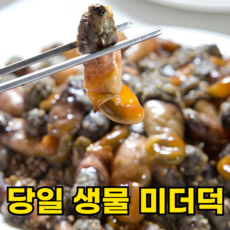 [특A급당일조업] 국산 생물 미더덕회 횟감, 1박스, 500g