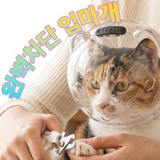 고양이 물림방지 투명헬맷 스페이스 냥냥 고양이입마개, 투명, 1개 투명, 1개