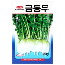 세인화분 금동무 30g - 씨 씨앗 무씨 무씨앗 김장무 여름무 소형무, 1개