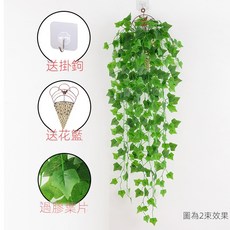 仿真綠蘿客廳掛墻綠植 壁掛植物裝飾 垂吊假花藤 條室內藤蔓吊蘭吊籃, 過膠爬山虎吊蘭2束(送三角籃), 1個