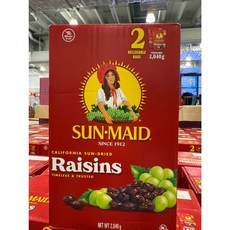 선메이드 건포도 1.02KG *2, 1개