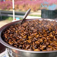 냉동번데기 생번데기 번데기 4kg 주전부리 간식 안주 자숙번데기, 1개