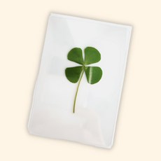 (수담스토어) 코팅된 책갈피 네잎클로버 북마크 네잎클로바 7 10cm