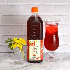 문경 오미자청 원액 1000ml 페트병, 1개, 1L, 1개입