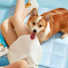 여름 강아지 쿨 매트 고양이 반려견 쿨 매트 반려동물 애완