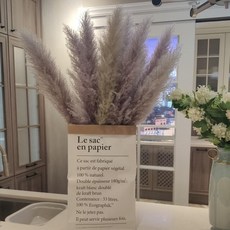 애프터마켓 팜파스 천연 말린 푹신한 인테리어 갈대꽃 꼬리 북유럽 배경 촬영 결혼식 웨딩촬영, 원색 대형 5개 1.2m 약 60cm, 건조 꽃 팩, 1L