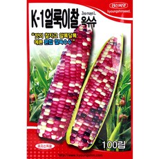 세인화분 K-1 국산 얼룩이 찰옥수수 100립 - 옥수수 씨 씨앗, 1개 1개