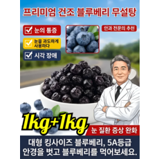 1kg+1kg SSS+무설탕 건조블루베리 100% 칠레산 블루베리 프리미엄 블루베리 건조과일 프리미엄 건조 블루베리 무설탕, 2pcs, SSS+, [100.00g/봉지]