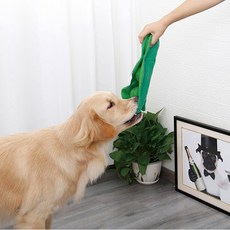 강아지 완두콩 노즈워크 장난감, One color, 2개