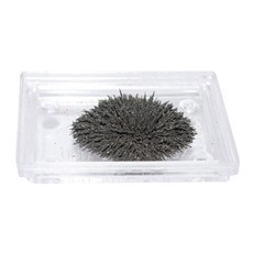 철자루케이스 자력선 소형관찰기 5개 자석키트 과학교구 기초과학, 1세트