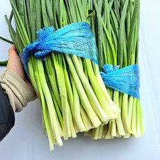빠리농산 국내산 쪽파 1단, 800g, 1개, 깐쪽파