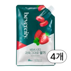 세미 베버시티 과육그대로 딸기 500g, 4개