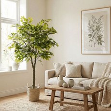 인테리어 대형 조화나무 인조나무 매장 카페 소원나무 인조목 플랜테리어 와이브로트리, 벤자민, 1개