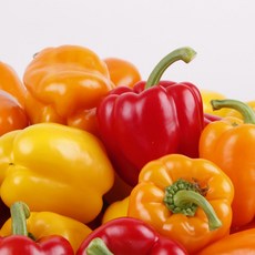 국내산 파프리카 혼합 산지직송 샐러드 요리용, 1박스, 1kg