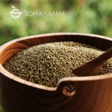 10kg코너 2025년 국산 청차좁쌀 10kg 청 차조 좁쌀